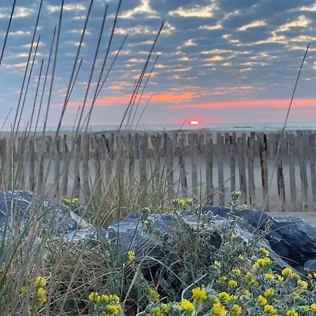 Cocoon'house 度假居